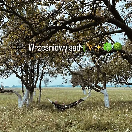 Dom W Sadzie シャレー *