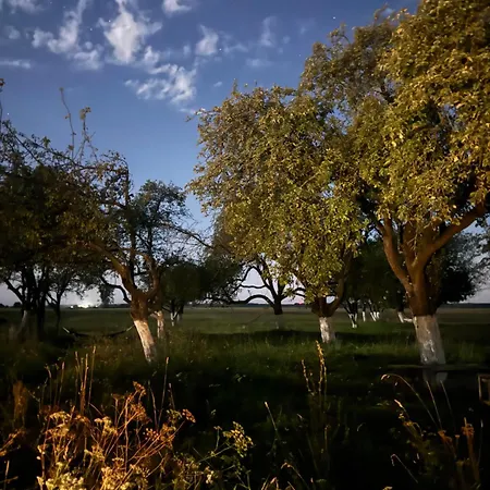 シャレー Dom W Sadzie