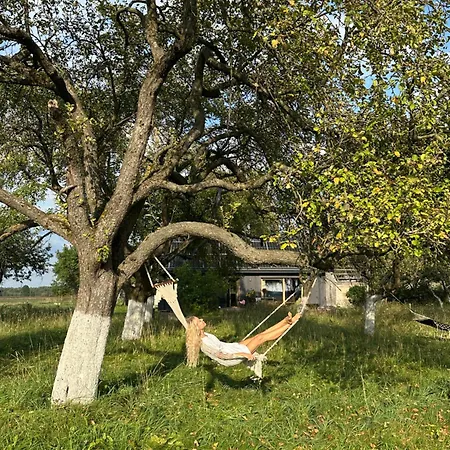 シャレー Dom W Sadzie