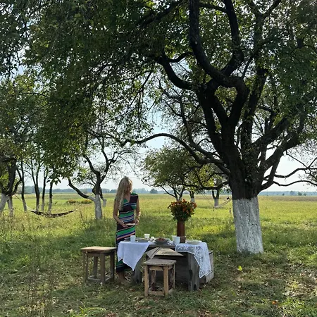 Dom W Sadzie Kostomloty